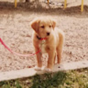 Meet your Posher, Brendan